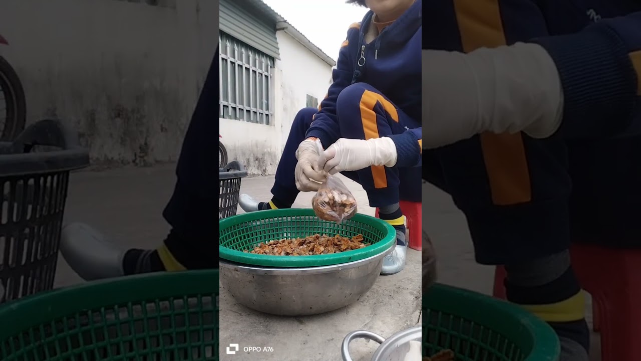 Nay vẫn đi chợ hải sản mua cá mực, sò về làm xong ra vườn trồng cải ngọt cùng mình nhé.