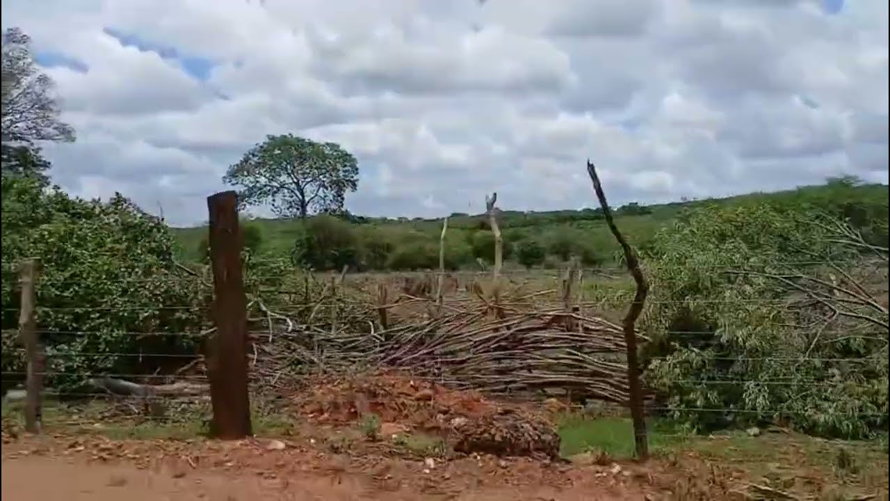 HOJE FOI DIA DE FAZER TRILHA