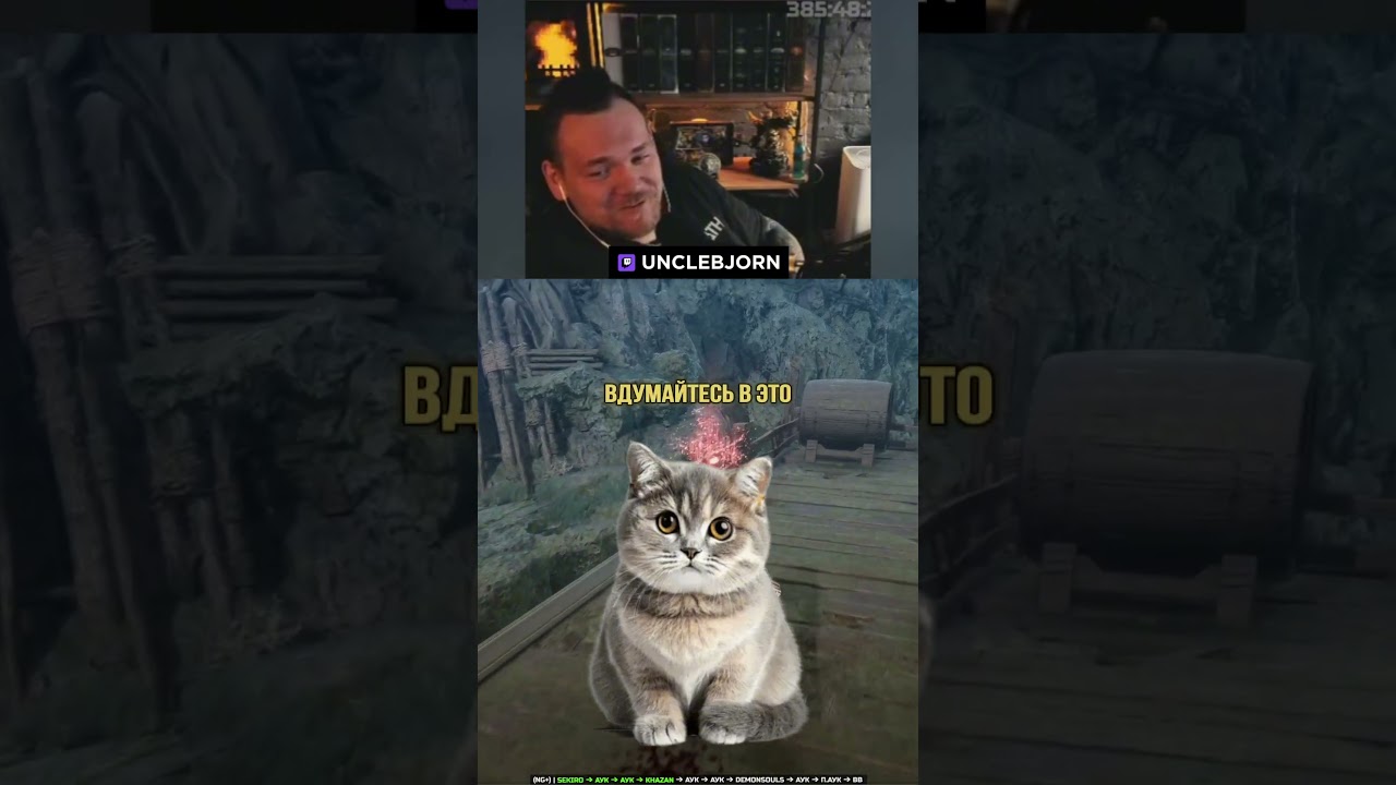ИСТОРИЯ ПРО КОТА | #unclebjorn