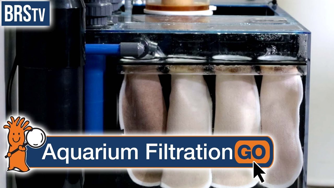 What are the 3 types of Aquarium Filtration?