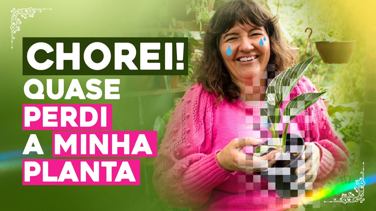 Quase PERDI MINHA PLANTA melhor rir do que CHORAR