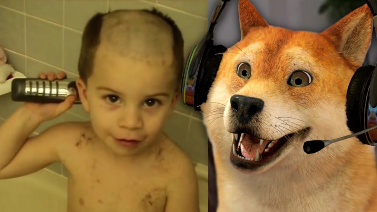 SE VOCÊ RIR, não REINICIE O VÍDEO #03 (é isso mesmo)