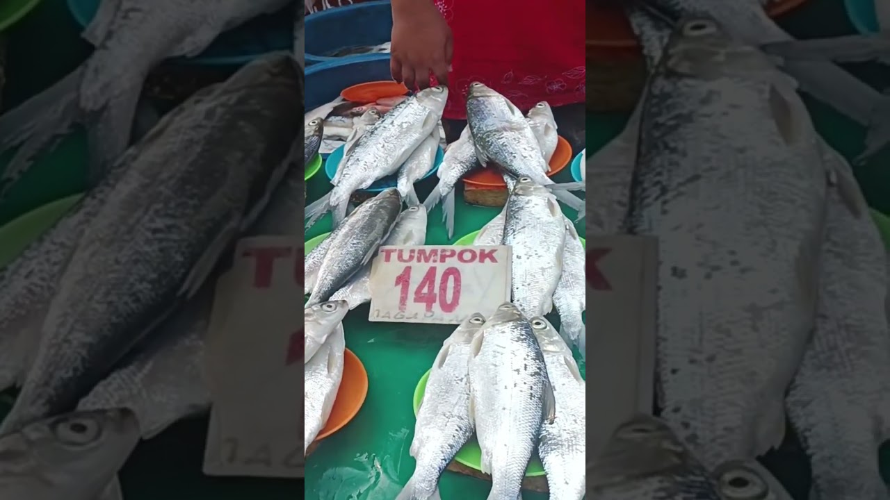 tumpukan unlimited #kuyaedph #romzeltv #seafood #amazingsea