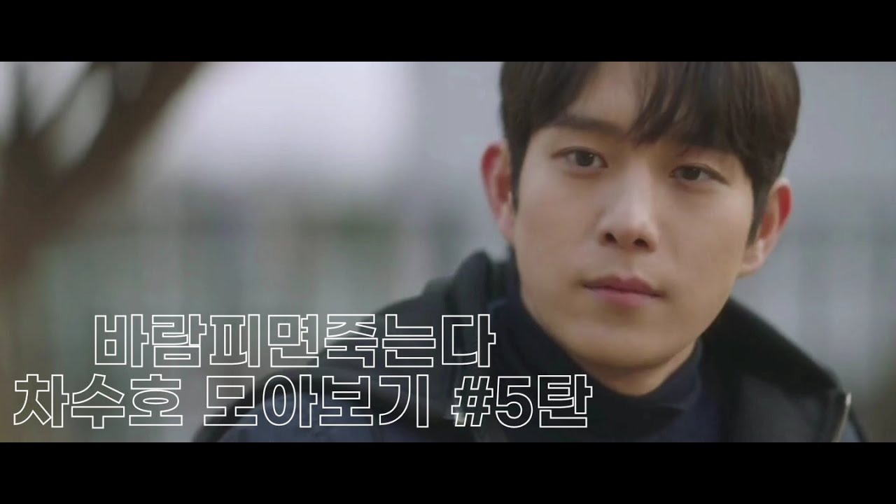 [김영대/차수호] 강여주의 수.호.천.사 ☆ | 바람피면죽는다 차수호 모아보기 마지막 #5탄