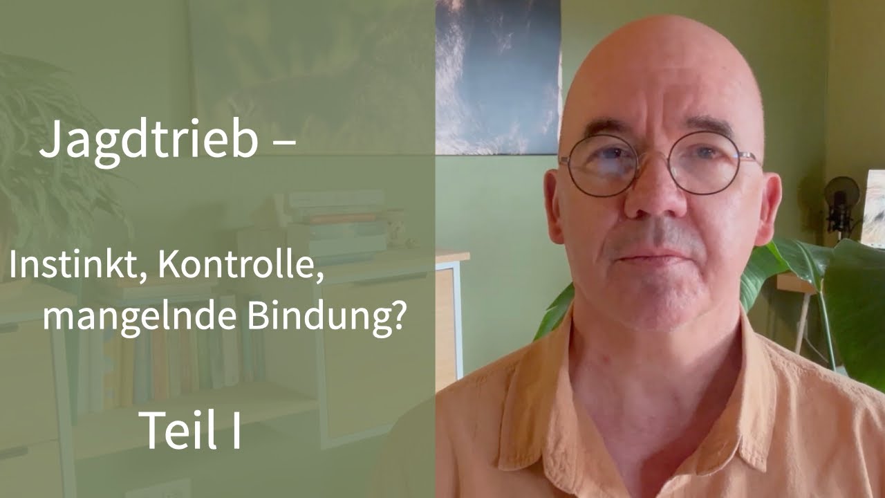 Mein Hund jagt - und ich kann ihn dann nicht mehr kontrollieren! – Teil I