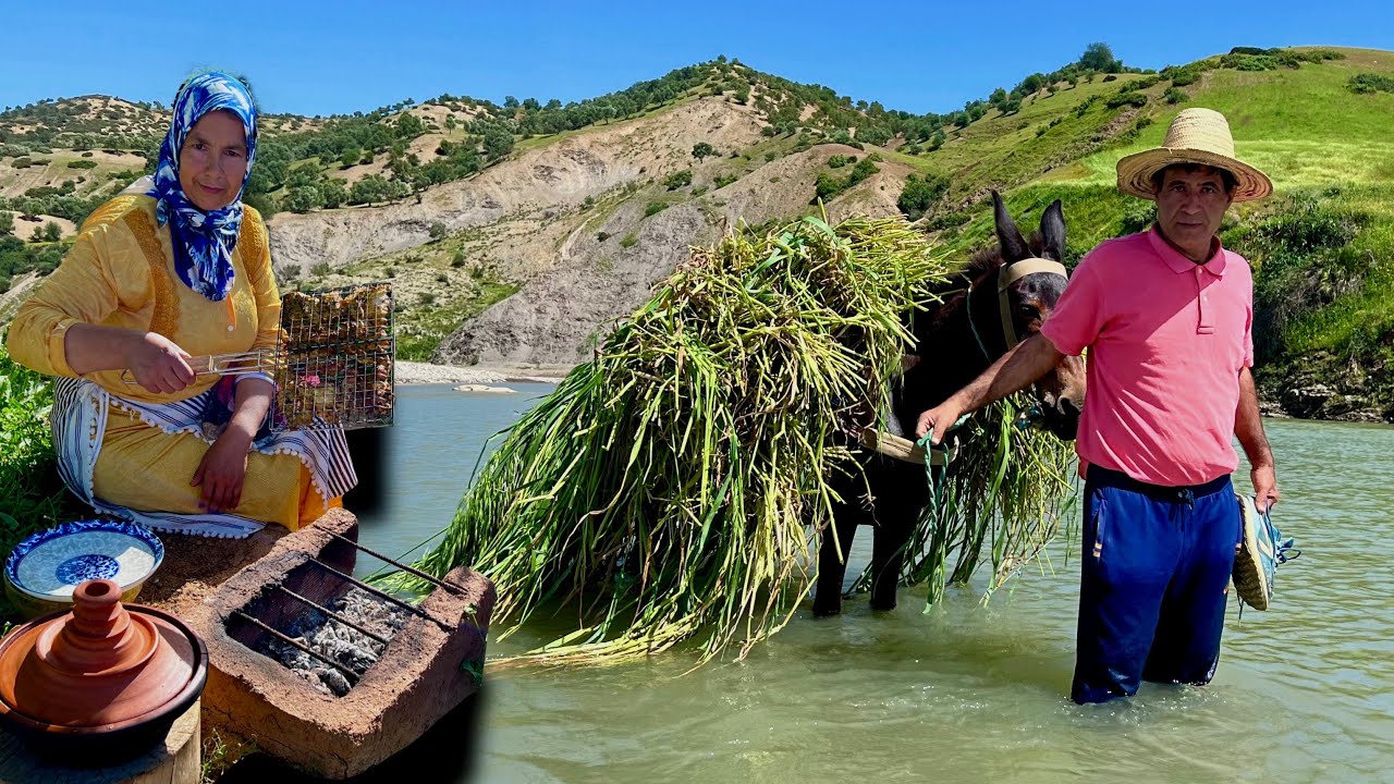 جمع الشُّوفان البري من الحقل و إعداد وجبة الفول المدمس اللذيذة