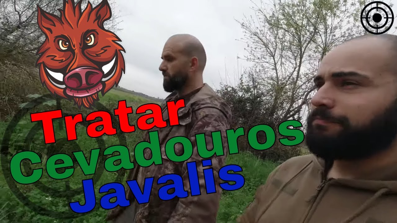 Tiro a Tiro | Tratar de um cevadouro para Javalis