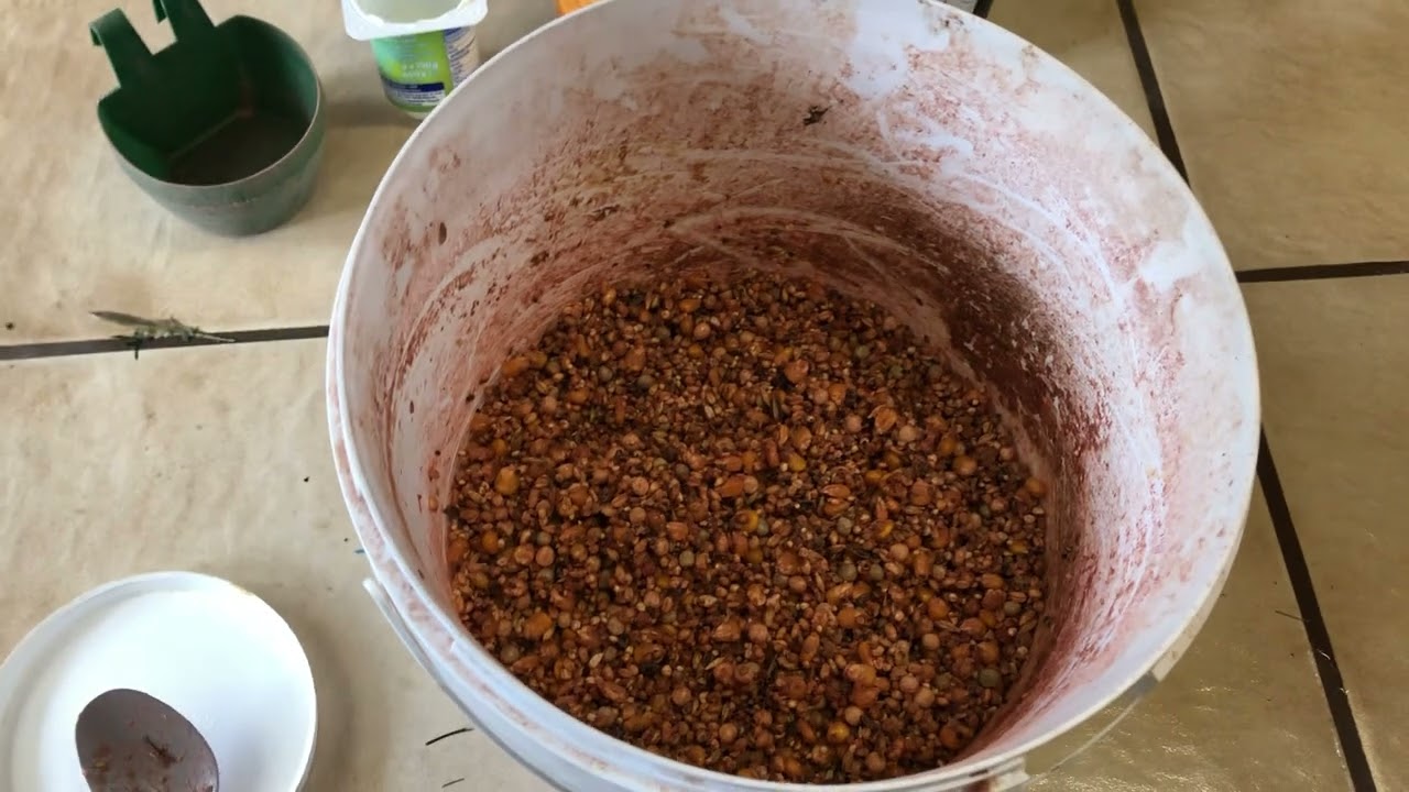 خلطة اكل الافراخ وشرح على انواع الكلس الجزاء الثاني