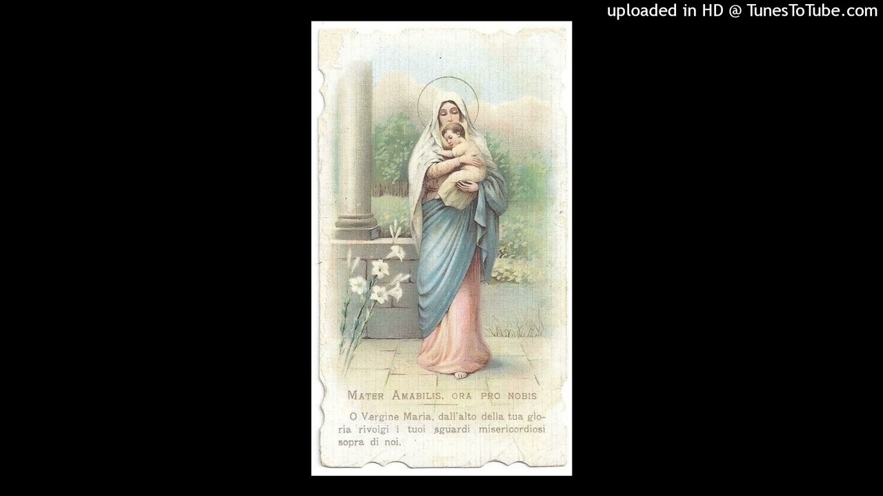 *FREE* diary plugg x whyhaze x kynlary type beat 