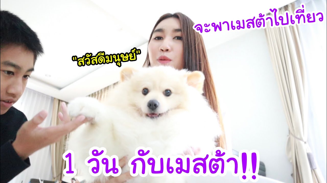 1วัน กับเมสต้า หมาของเบส&โบ๊ท โตขนาดไหนแล้ว! มาดูน้องกัน!!