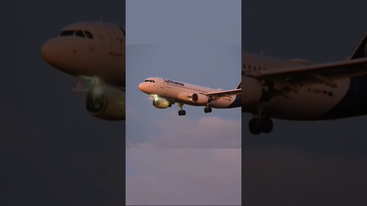 That One Aviation Edit 👌✈️ #youtube #aviation #edit