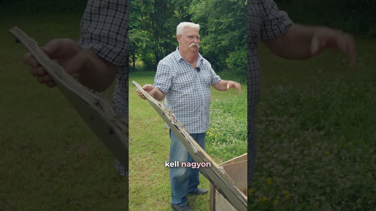 Ny&uacute;ltart&aacute;s kezdőknek