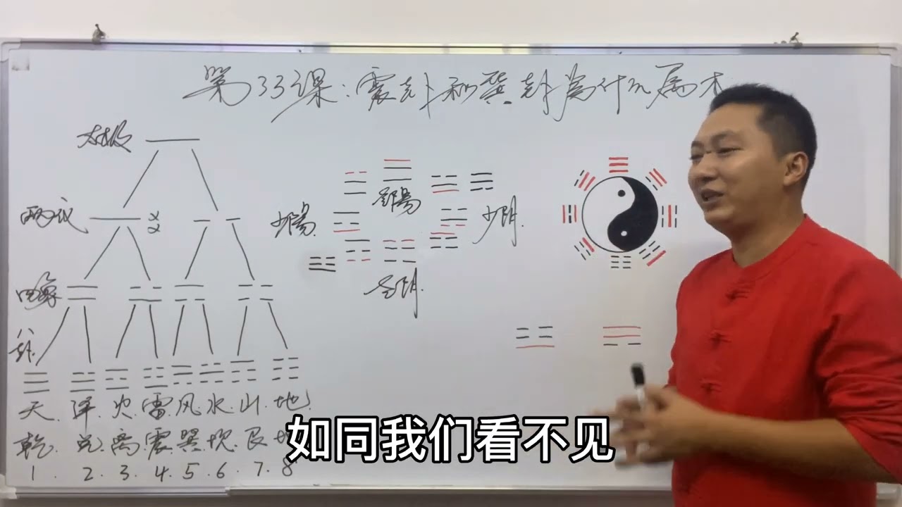 《震卦》和《巽卦》为什么属木？其实都是自然现象 #易经 #八卦