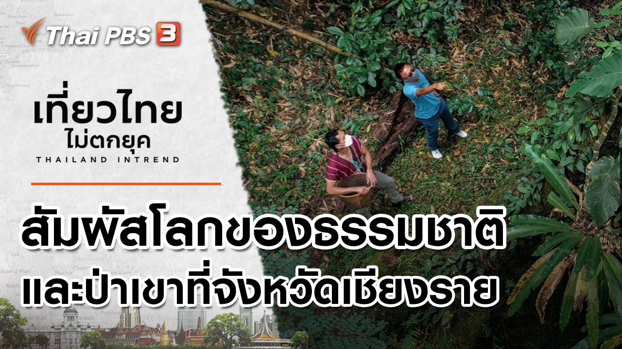 สัมผัสโลกของธรรมชาติและป่าเขา ที่จังหวัดเชียงราย : เที่ยวไทยไม่ตกยุค