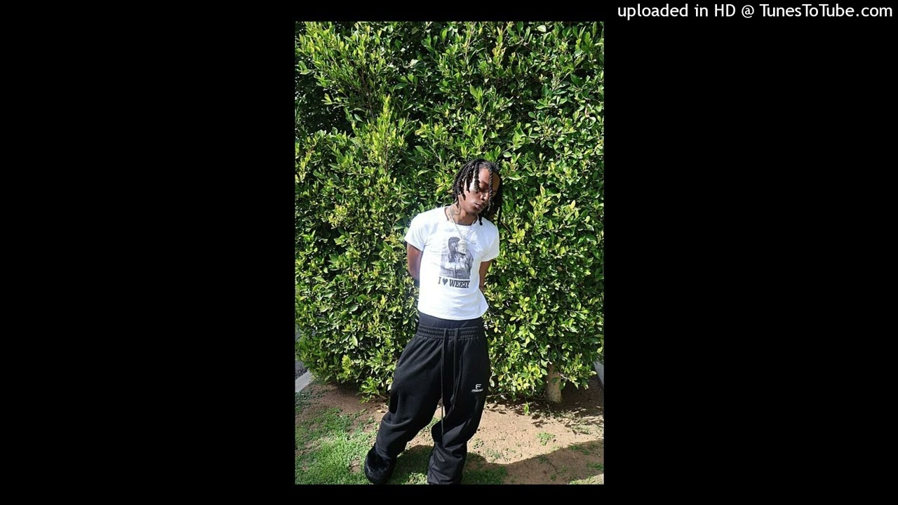 skaiwater + pinkPrint 2 + #gigi sample type beat