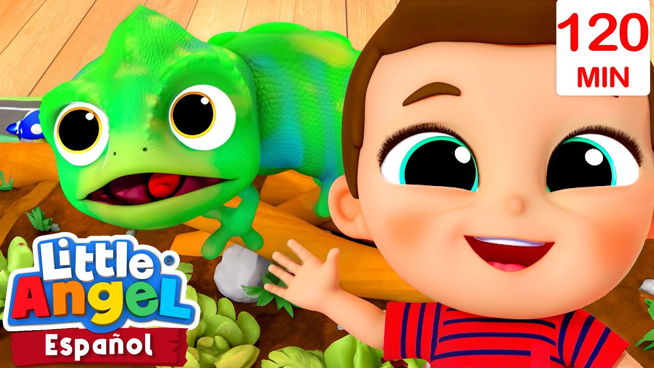 ¡Camaleón de colores del arcoíris! | Canciones Infantiles 🎵  Para bebés | Little Angel y sus amigos