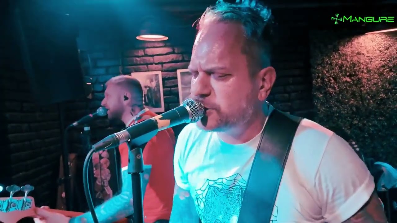 THE ANALOGS - KONCERT w RZESZOWIE