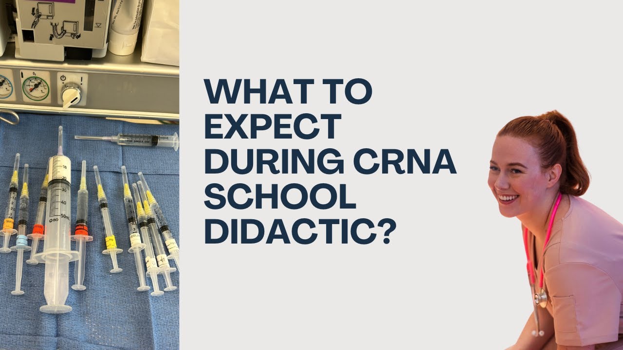 Обзор третьего семестра школы CRNA. Пять уроков из дидактики
