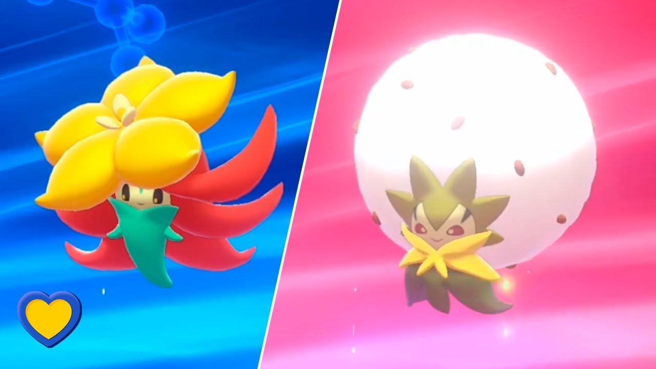 HOW TO Evolve Gossifleur into Eldegoss in Pok&eacute;mon Sword and Shield