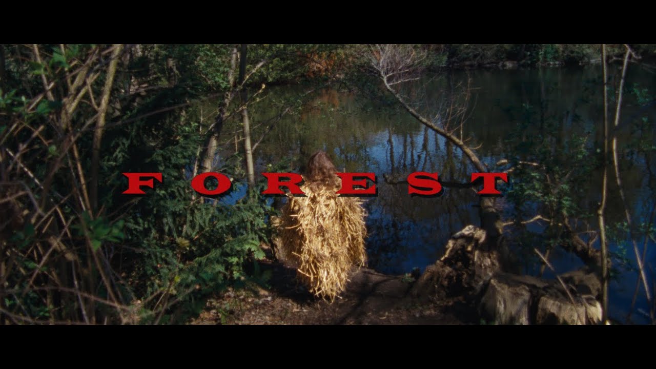 Ibadet Ramadani - Forest (Official Video)