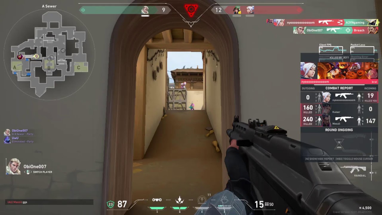 Valorant Chill stream,