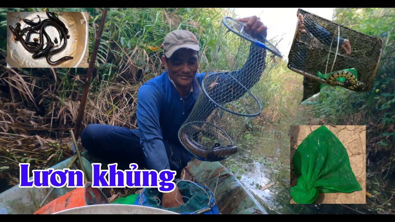 Thăm lờ cá một ngày bội thu | Van Hieu Vlog
