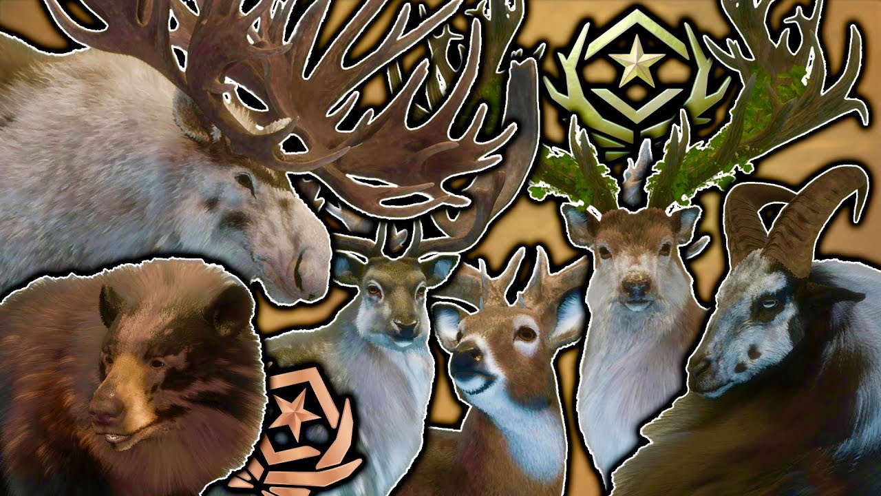 ALL OF MY 56 GREAT ONES IN THE HUNTER CALL OF THE WILD IN ONE MONTAGE! YEARS WORTH OF TROPHIES!