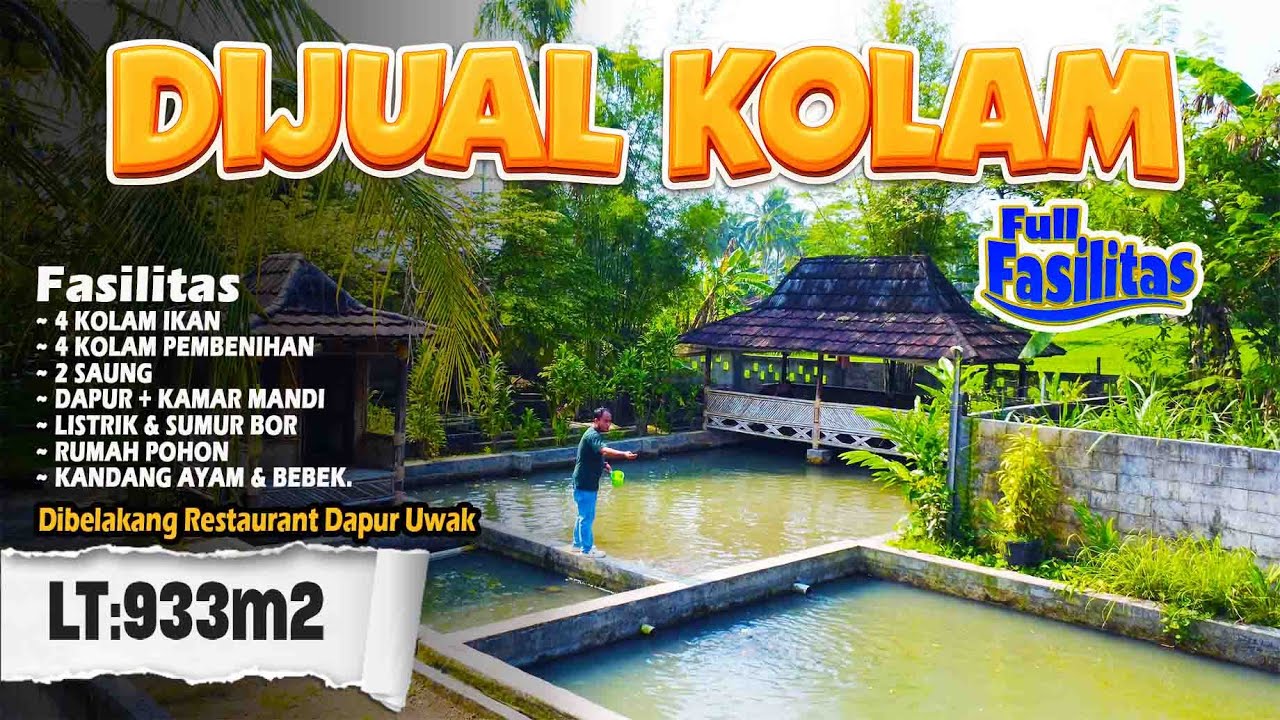 DIJUAL LAHAN+KOLAM  Lt 933M2 (SHM&AJB) Lokasi Desa.Curug Goong, Kec.Padarincang, Kab.Serang Banten.