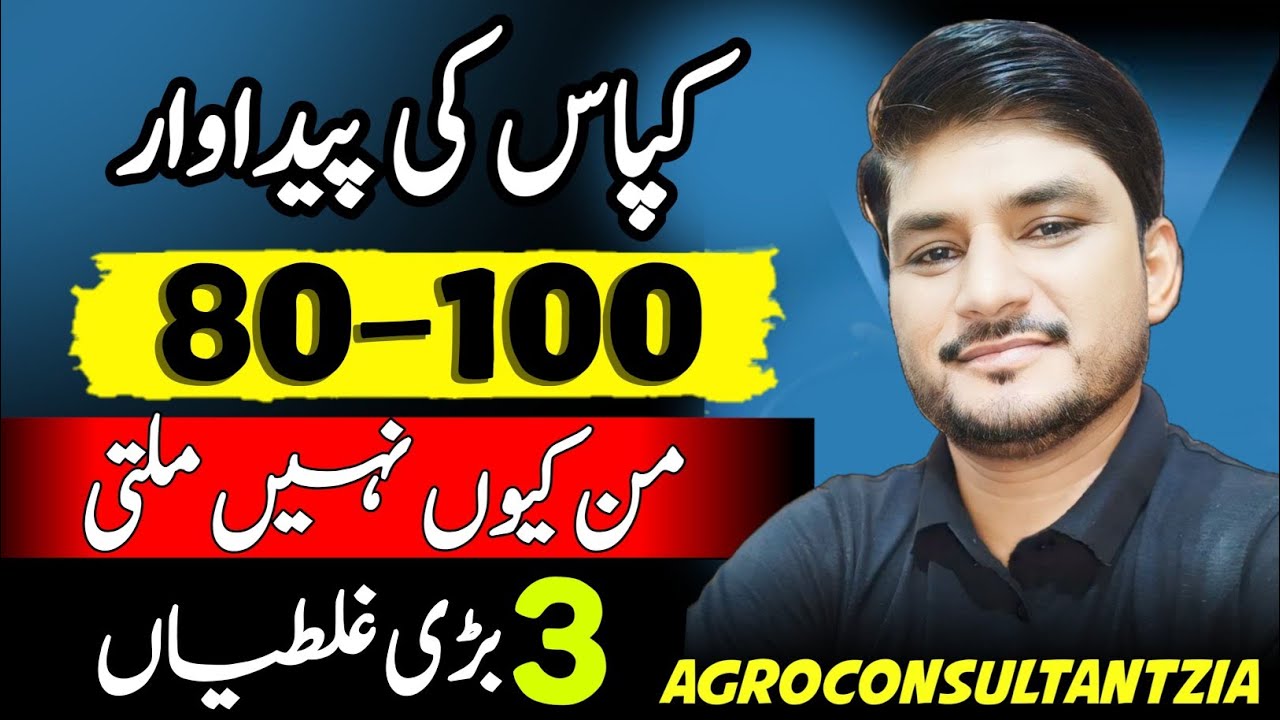 Latest Early Cotton Production Technology 2025.