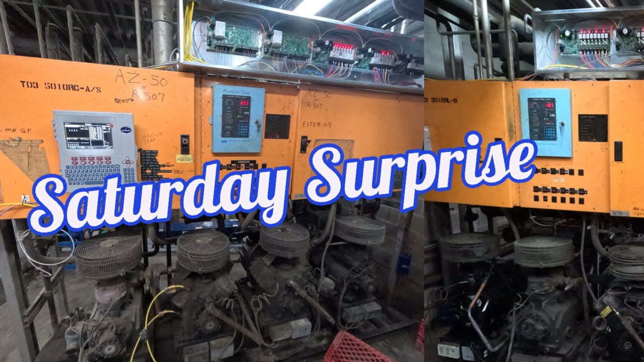 Saturday Emergency Grocery Freezers & Coolers Are Warm