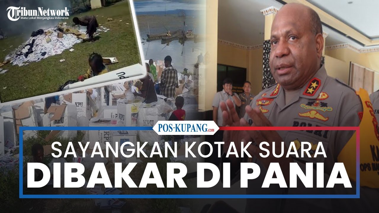 Respons Polda Papua soal Pembakaran Kotak Suara Pemilu di Paniai, Papua Tengah