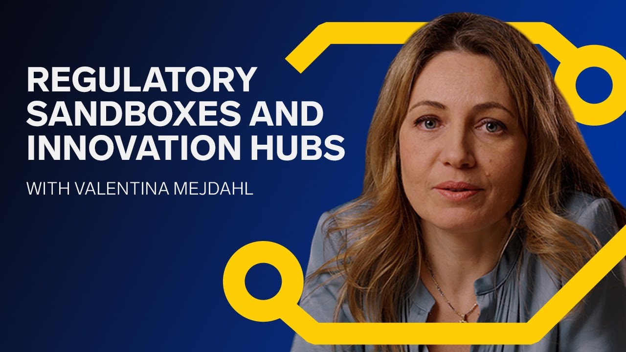 HDIW | Regulatory sandboxes and innovation hubs