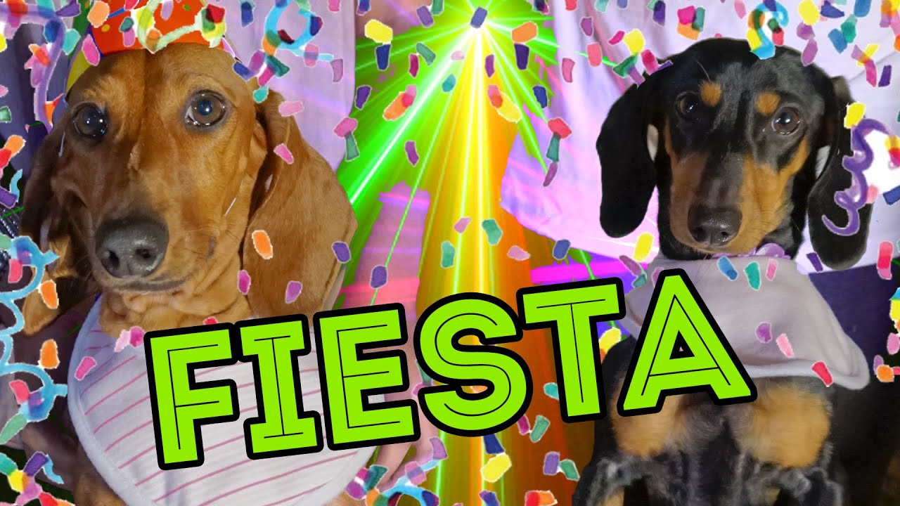 I AM 4 YEARS OLD NOW!! | LOS POLINESIOS VLOGS
