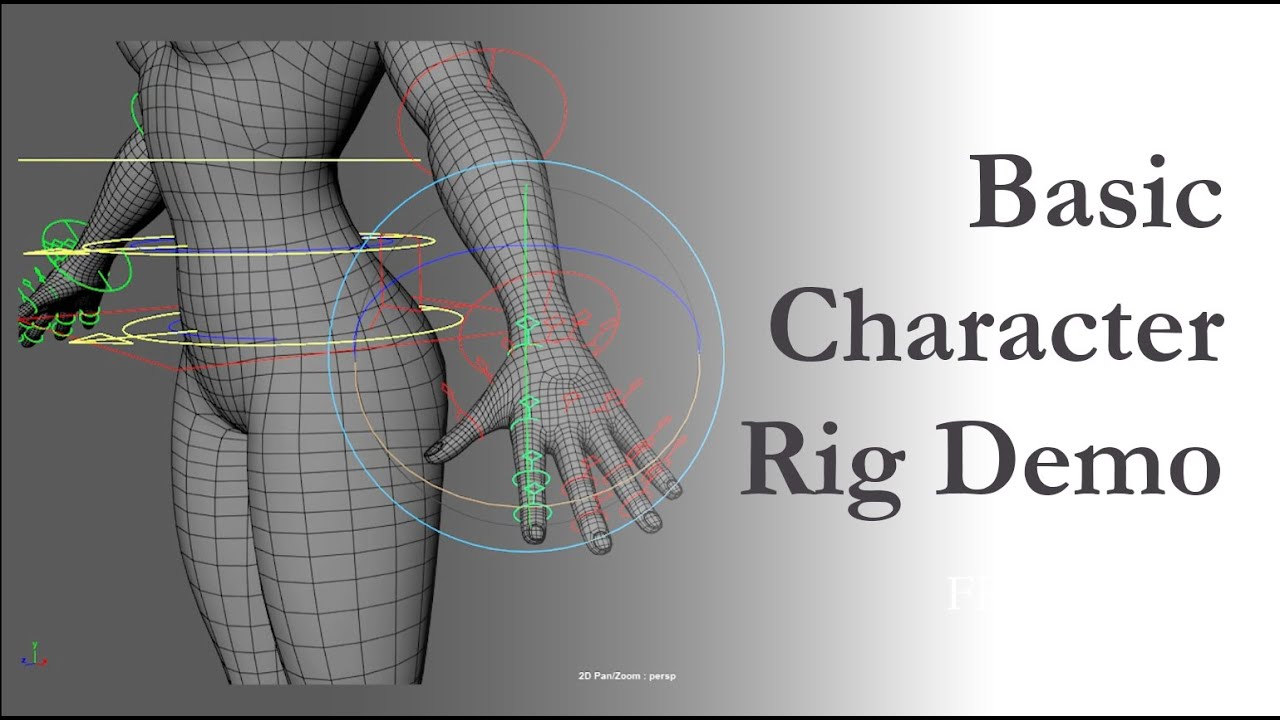 Basic Human Rig 2025