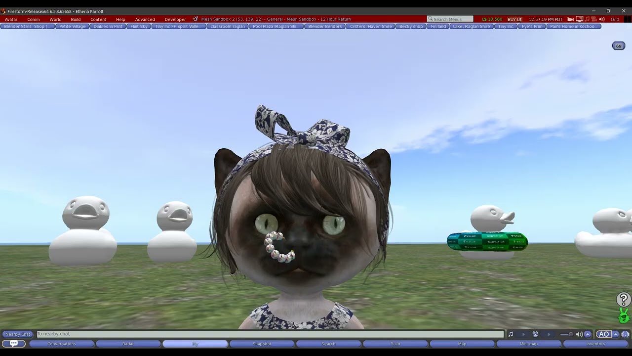 Blender 3 - Nanomesh trick for Second Life