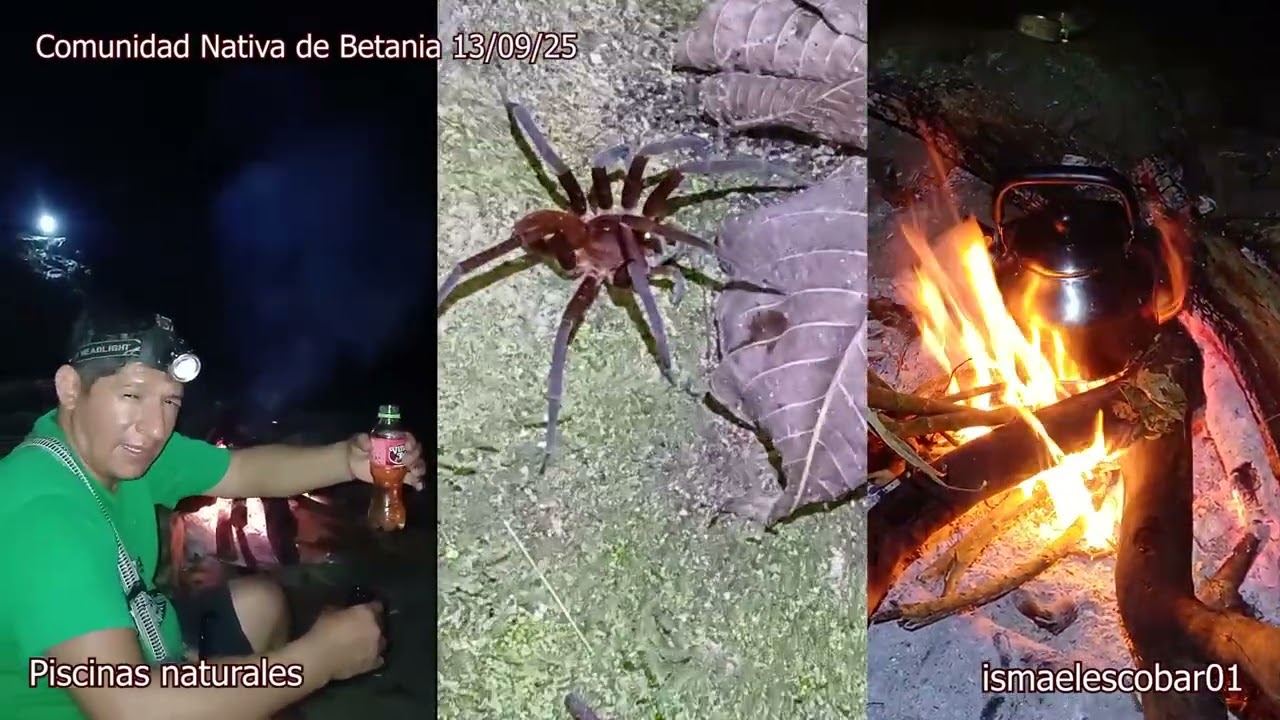 Betania Ucayali 2025