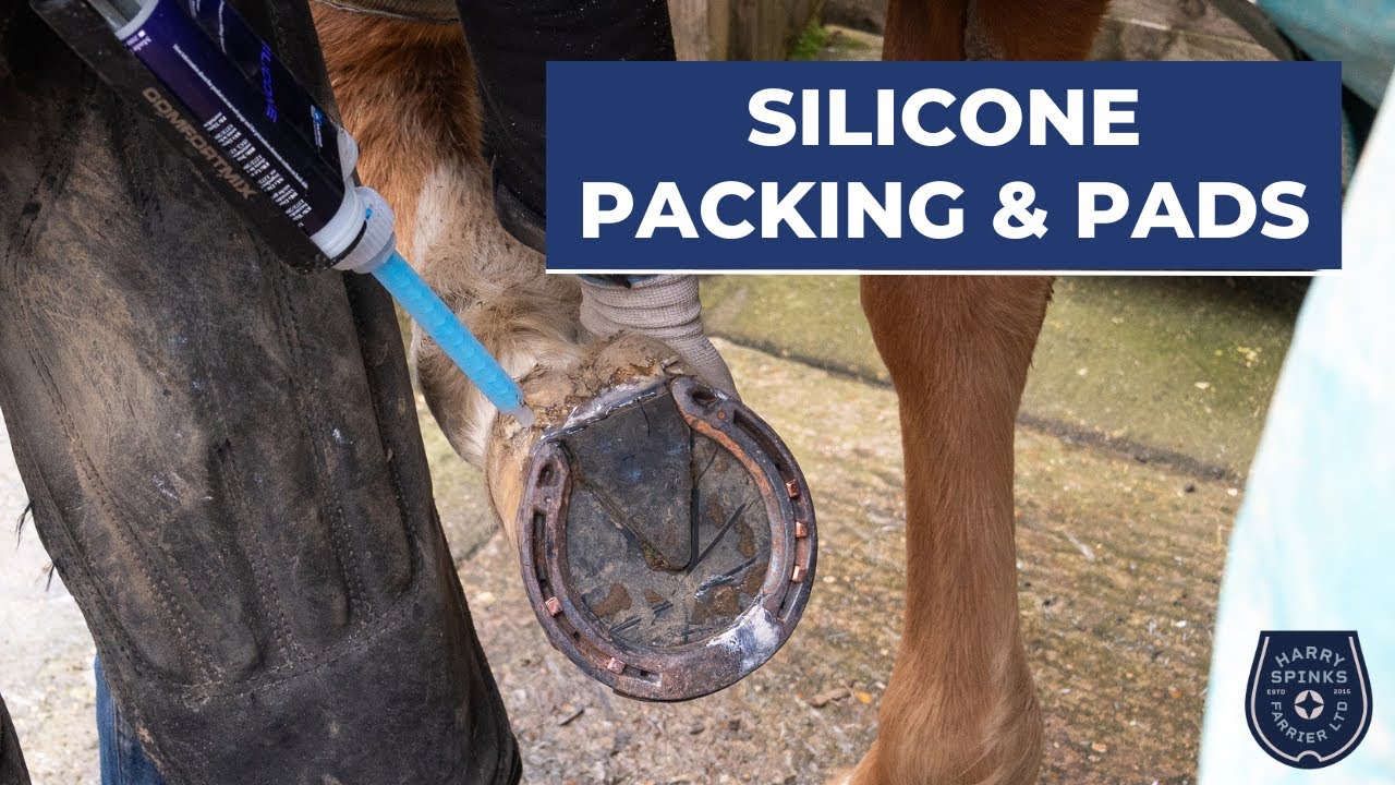 Using Silicone Packing to Keep This Horse Sound!