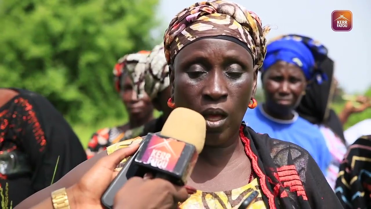 Re-imagine farming- North Bank Farmers Association collaborates with the community of Kekuta Kunda