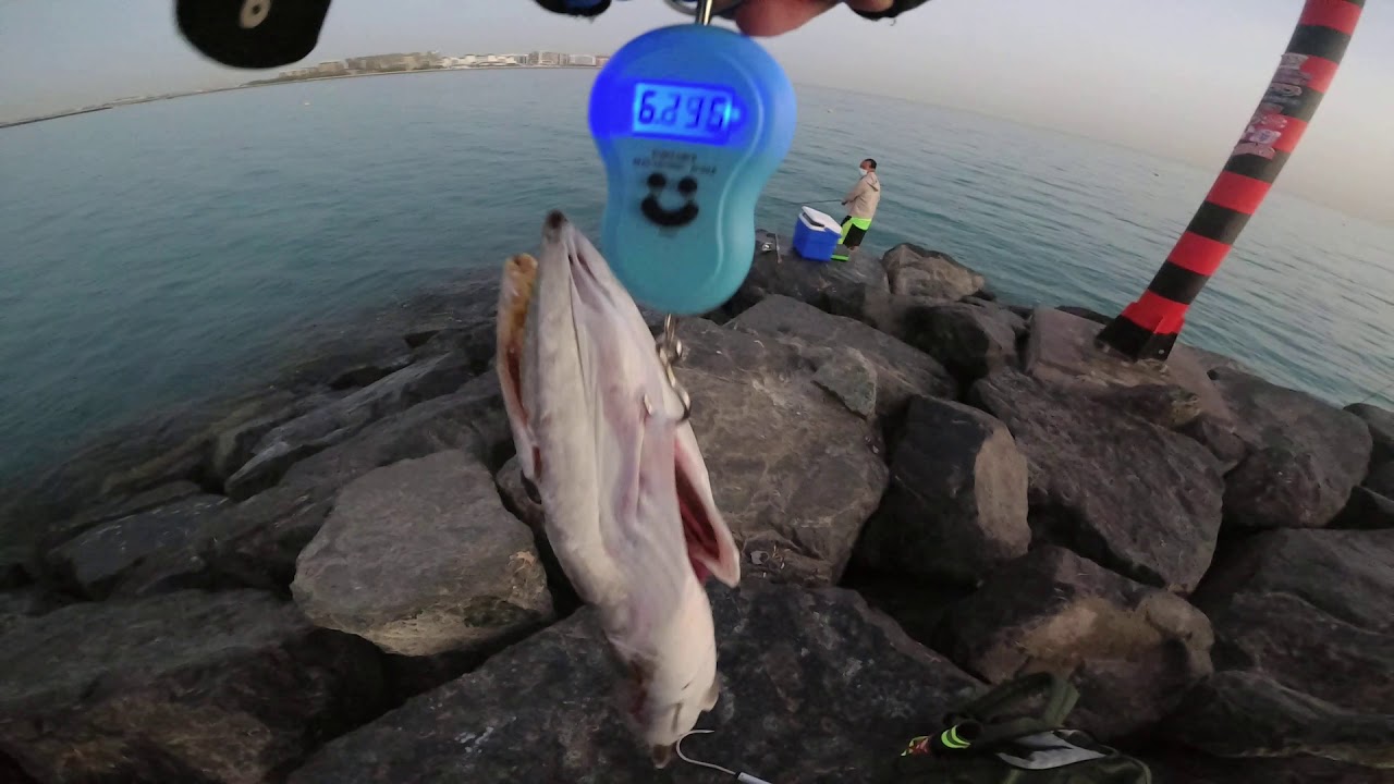 Marine Hub Anglers Alliance  fishing tournament entry
