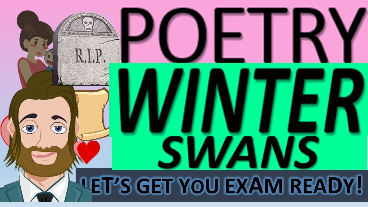 Winter Swans - Everything you Need to Know in Under Three Minutes!