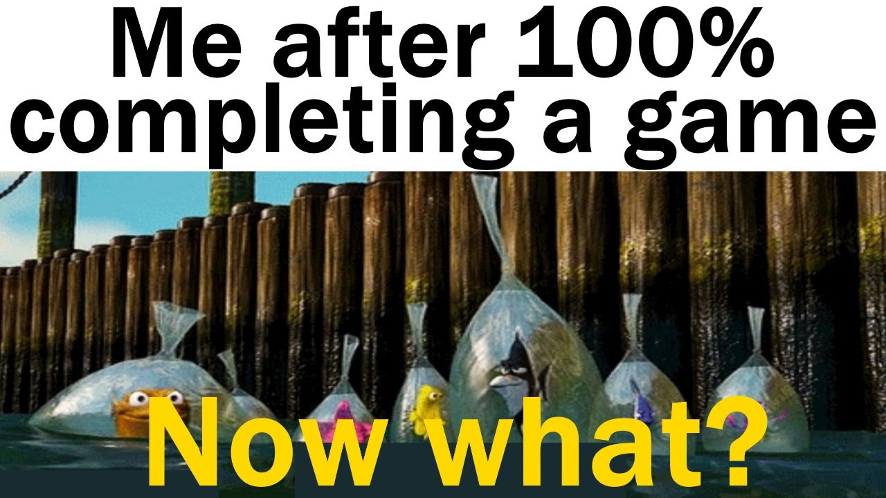 Daily Juicy Memes 1113