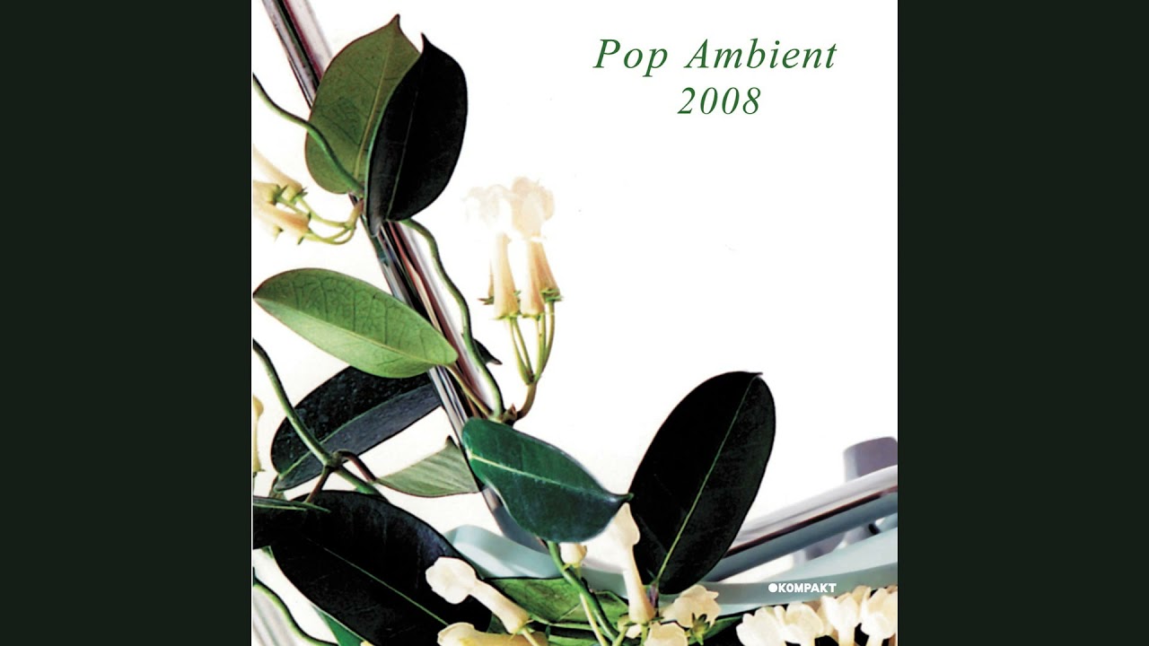 Pop Ambient 2008 (full album)