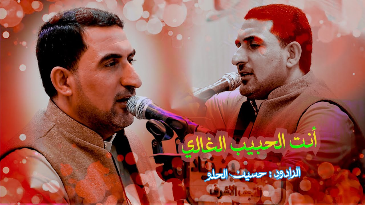 انت الحبيب الغالي// الرادود حسين الحلو// موكب انصار الغريب -النجف الاشرف //شعبان 1447هـ