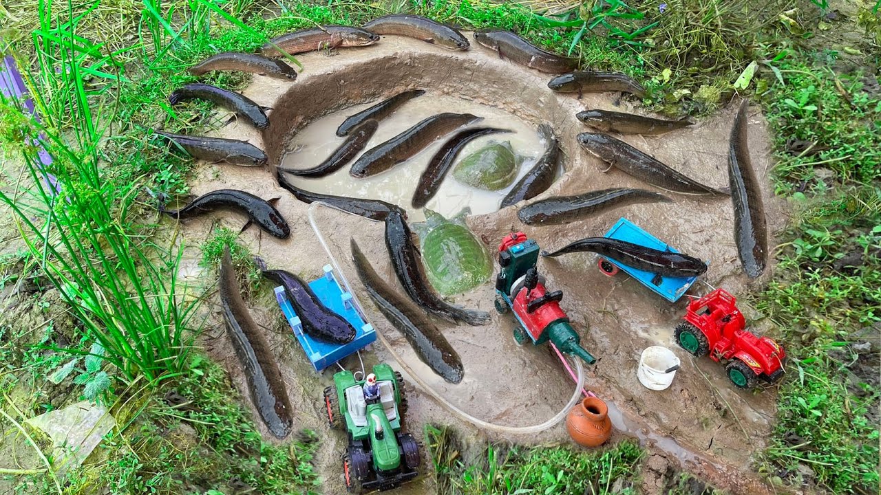 Catch Beautiful Fish Using Mini Water Pump In Small Pond | Diy Tractor | Catch Fish |@MiniFishPond