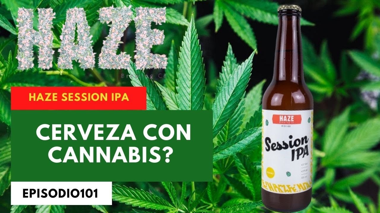 Cerveza con MARIHUANA Haze | Cata 101