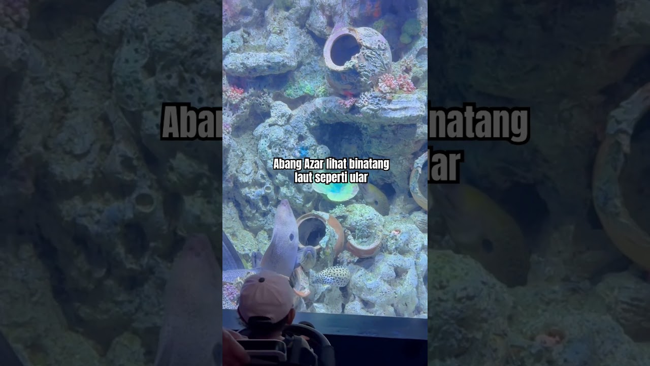 Geli lihatnya 