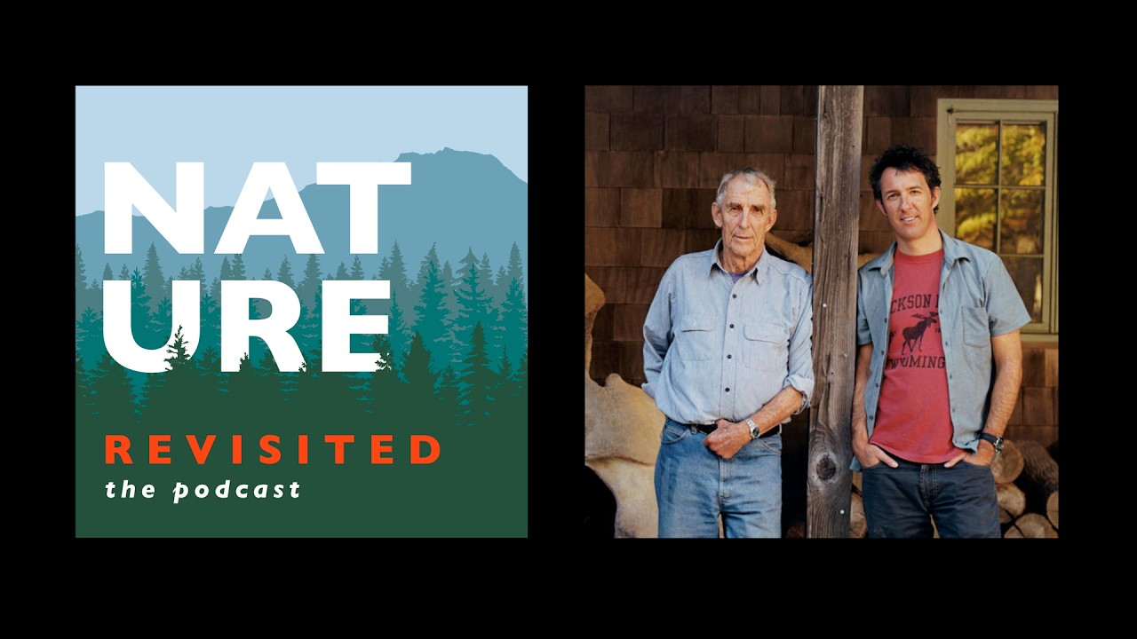 Revisit: Alex Matthiessen - My Father and His Legacy