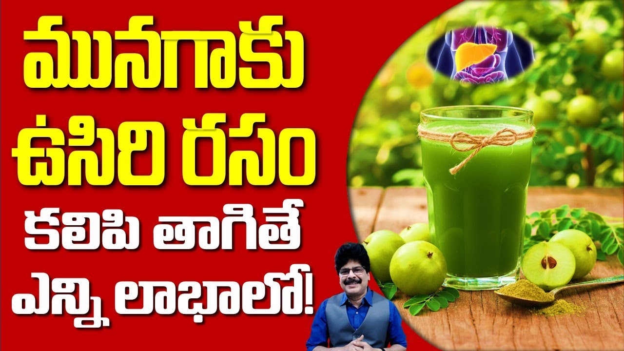 మునగాకు ఉసిరి రసం కలిపి తాగితే ఎన్ని లాభాలో many benefits if you drink amla juice mixed with moringa