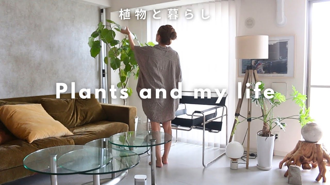 【植物と暮らす】45歳シンママの家と暮らし｜植物のメンテナンス