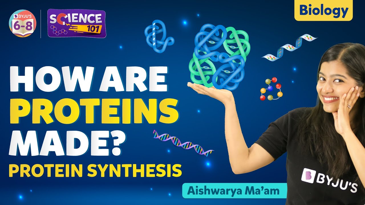 How are Proteins Made? | From DNA to Protein - Protein Synthesis | BYJU'S